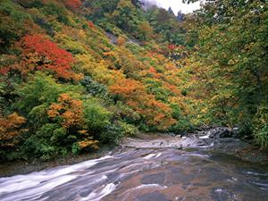 【公式】東横INN倉敷駅南口｜岡山県倉敷市の便利なビジネスホテル予約サイト