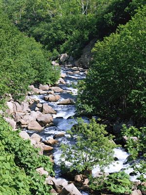 群馬県桐生駅南口から徒歩2分のビジネスホテル|東横INN桐生駅南口の魅力と詳細情報