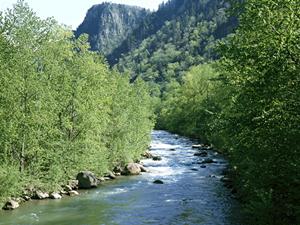 金沢駅から徒歩6分の便利な立地！【東横INN金沢駅東口】の魅力と詳細情報