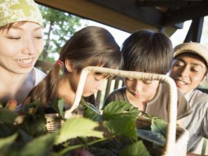 名古屋丸の内にある東横INNの魅力：ビジネスや観光に最適な宿泊施設の詳細ガイド