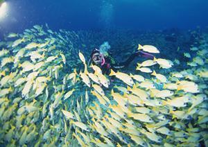徳島駅周辺のビジネスホテル：東横INN徳島駅眉山口の魅力と詳細ガイド