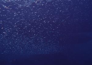 JR九州ホテル長崎 – シンプルモダンで快適な宿泊体験