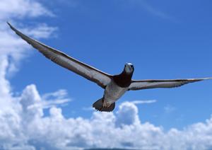 【公式情報】東横INN富士河口湖大橋｜山梨県河口湖で快適なビジネス・観光滞在を実現