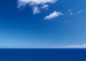 奈良観光に最適！東横INN近鉄奈良駅前の魅力と最新情報