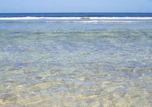 茅ヶ崎駅近くの快適な滞在を実現！東横INN茅ヶ崎市役所の魅力と詳細情報