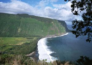 東横INN東武宇都宮駅西口|アクセス抜群のビジネスホテルと快適な滞在を提供