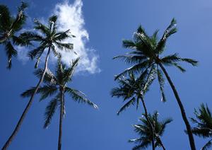 豊田市駅前に位置する快適なビジネスホテルの魅力と詳細情報