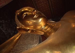 【公式】東横INN北戸田駅東口｜埼玉県戸田市のビジネスホテルと観光拠点の魅力徹底解説