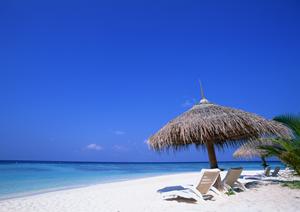 名古屋のカジノ気分を満喫！初心者歓迎のPARADIA NAGOYA（パラディア名古屋）で本場さながらのポーカーとカジノ体験を楽しもう