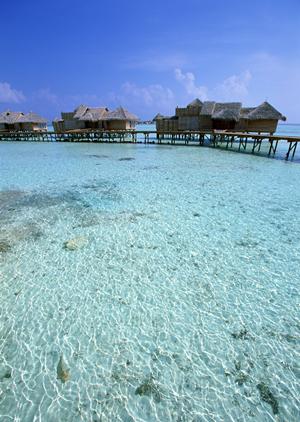 大阪堺市のビジネスホテル【東横INN堺駅前】の魅力と基本情報