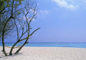 神奈川県相模原市のビジネスホテル【東横INN横浜線淵野辺駅南口】?快適な宿泊と便利なアクセスを提供