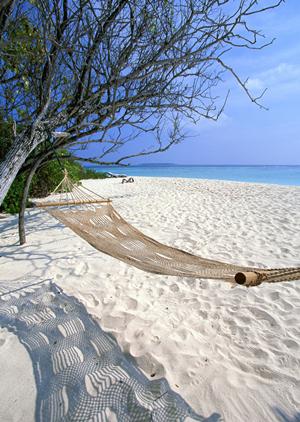 羽田空港からアクセス便利！東京・大田区のビジネスホテル「東横INN羽田空港2」の魅力と概要