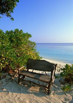八戸駅前の快適ステイを実現！東横INN八戸駅前の魅力と宿泊情報
