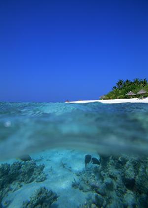 大阪のビジネスホテル【東横INN大阪JR野田駅前】の魅力と詳細情報