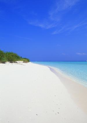 東横イン東西線木場駅：快適な宿泊と便利なアクセスを実現するビジネスホテルの詳細ガイド
