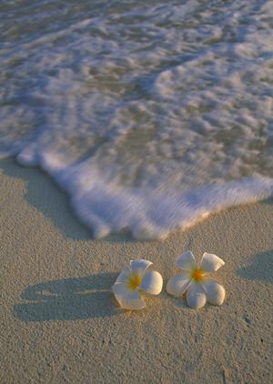 長野県上田駅近くの快適ビジネスホテル|東横INN上田駅前の魅力と詳細ガイド