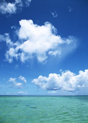 横浜のビジネスと観光に最適!東横INN横浜桜木町の魅力と詳細情報